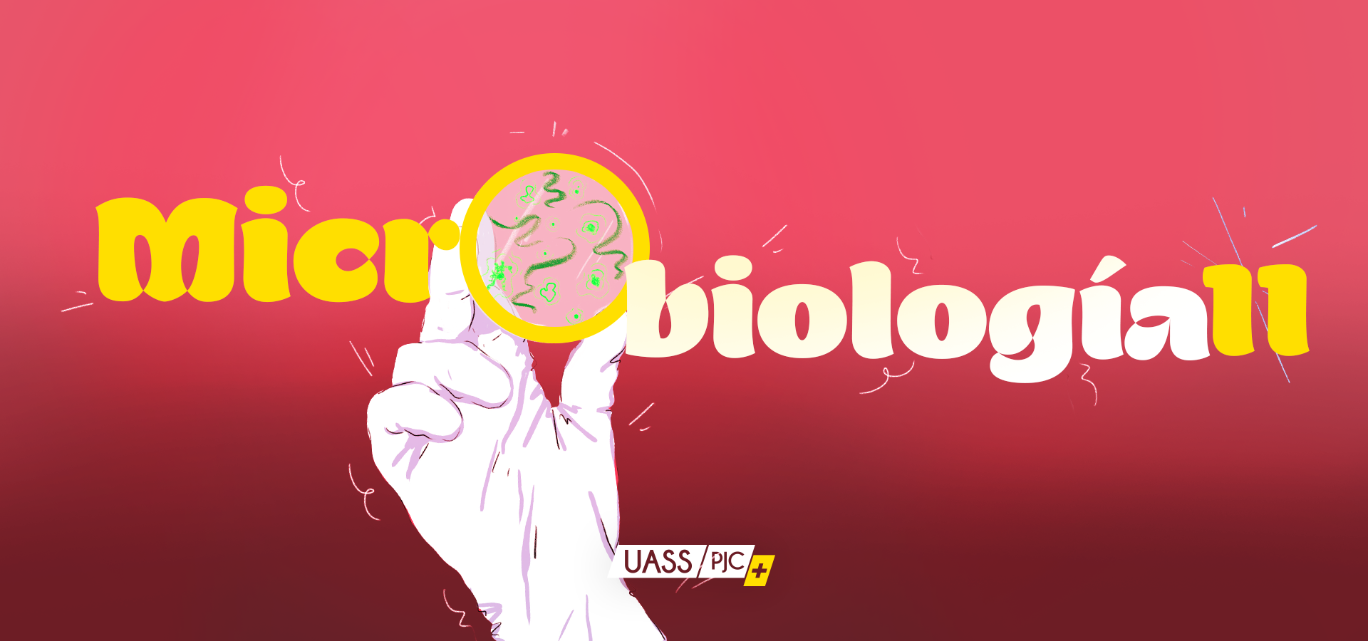 Curso Microbiolog A Ii Uasspjc