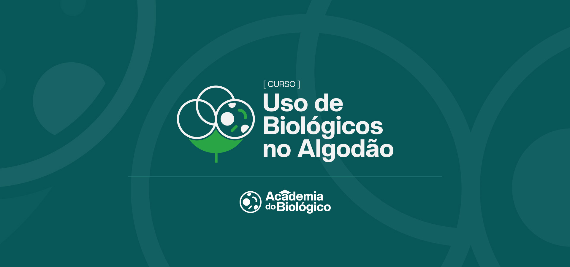 Uso de biológicos no algodão