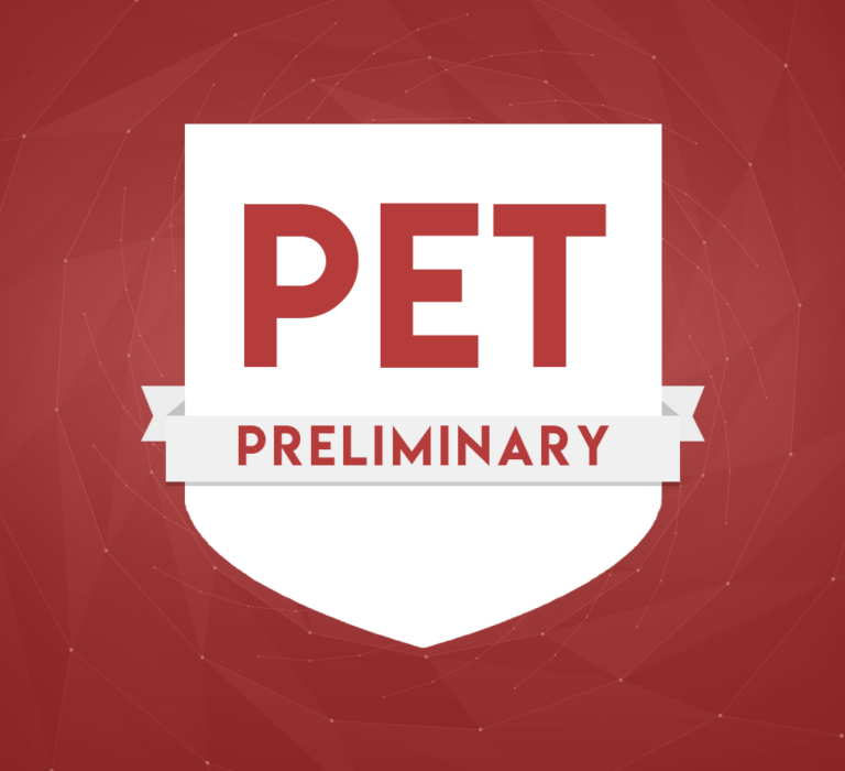 PRELIMINARY - FARIAS BRITO