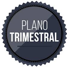 Plano trimestral